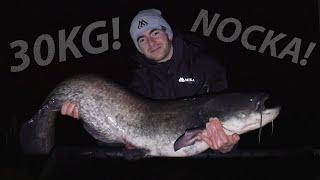 CATFISH OF A LIFETIME! FIRST NIGHT OF THE SEASON AT THE OLEŚNIKOWA DOLINA FISHING PLACE!