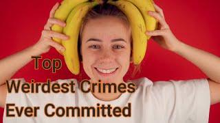 7 Weirdest Crimes Ever Committed | exclusive top 10