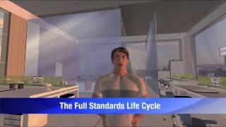 The IEEE Standards Association, Standards Life Cycle