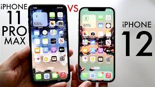 iPhone 11 Pro Max Vs iPhone 12 In 2022! (Comparison) (Review)