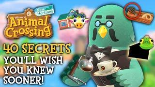 40 SECRETS You'll WISH You Knew Sooner - Animal Crossing New Horizons