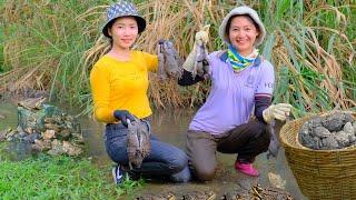 Harvest Frogs From The Stream With Sister To Sell At The Market, Cook, Garden, Daily Life, Farm.