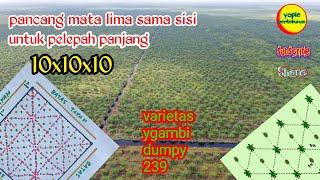 easy way to stake palm five eyes 10x10