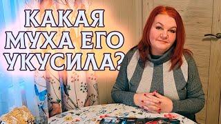 КАКАЯ МУХА ЕГО УКУСИЛА? ЗЛОЙ, КАК ЧЕРТ! ⭐ Расклад Таро