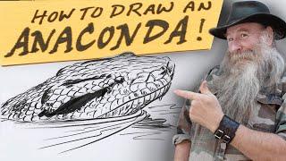 HOW TO DRAW AN ANACONDA (Beginner - Intermediate Level)