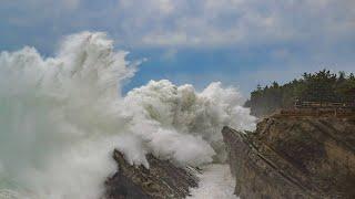 Pacific Storms that Hit California Also Battered Shore Acres State Park, Oregon