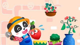 Baby Panda's Fruit Farm | fruits and vegetables | Gameplay Video | BabyBus Games