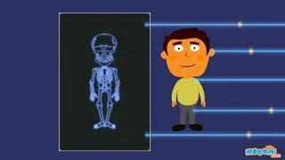 How do X-rays work? - Human Body Skeleton X-ray | Science for Kids | Educational Videos by Mocomi