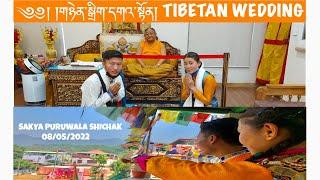 TIBETAN WEDDING CEREMONY 2022 | SAKYA PURUWALA SHICHAK | AMA NYI NYI FAMILY #tibetanyoutuber