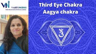 Third eye Chakra| Aagya Chakra| Ajna Chakra | Vaastu Nidhie