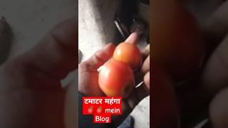 Tamatar blog vdeo #व्लॉग #vlog #vlogging #beautyvlog #fashionvlog #dailyvlog #foodvlog #travelvlog