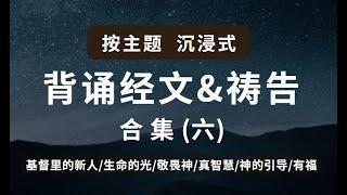 按主題背誦聖經+回应祷告 合集(六）|沉浸式背诵默想经文|快速背誦聖經经文|基督里的新人/生命的光/敬畏神/真智慧/神的引导/有福|祷告#圣经朗读#灵修