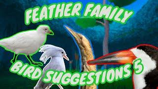 Feather Family Bird Suggestions 5! 