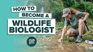 How to become a Wildlife Biologist