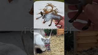 Learn Snow Animal Names for Kids: Arctic Hare Robin Reindeer Penguin Seal #HolidaysWithYouTube