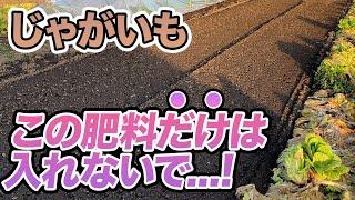 【じゃがいも】土にこの肥料だけは入れないでください！