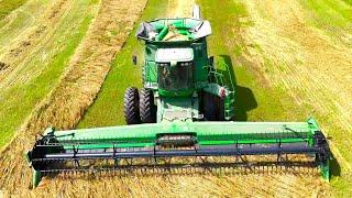 Harvesting Oats! The 2024 Grain Harvest Has Begun!