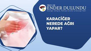 Karaciğer nerede ağrı yapar? I Prof  Dr  Ender Dulundu