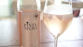 Pinta Negra Rosé