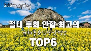 [제주여행]2024,spring 절대 후회 안할 최고의 유채꽃&인생샷명소 BEST6|제주여행|제주유채꽃명소|유채꽃|제주가볼만한곳|서귀포여행|산방산|별방진|서우봉|성산유채꽃재배단지