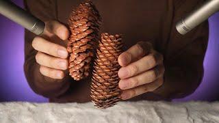 ASMR Super Tingly Pine Cones 온몸으로 팅글이 느껴지는 솔방울 소리의 짜릿함