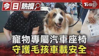 寵物專屬汽車座椅 守護毛孩車載安全｜TVBS新聞 @TVBSNEWS01