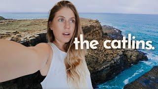 Exploring New Zealand's Untouched Coast (the catlins)