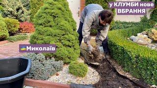 Як змінювала клумбу на подвір'ї. Які квіти та багаторічники прикрасять квітник