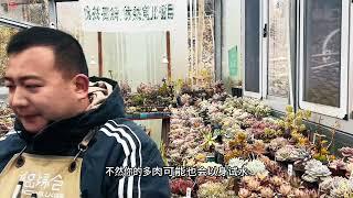 【诚品绿仓多肉植物学院 | 马叔】控水养护=不浇水？90%的人都被误导了！