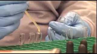 Explore Medical Laboratory Technology