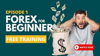 Forex for Beginners အခမဲ့ သင်တန်း Episode 1 | Myanmar Forex