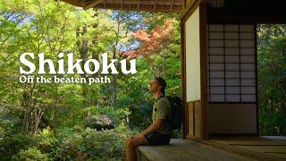Nature, History, and Cats: Road trip through Kochi & Ehime - Shikoku Vlog Pt. 3