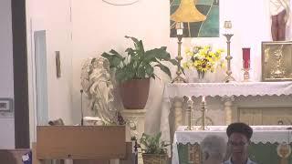 Catholic Mass Live Stream