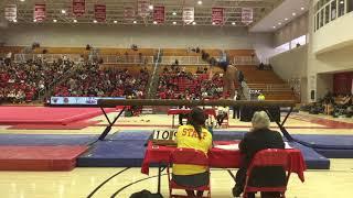 Natalie Yang, Beam - 9.85 (@ ECAC Championships March 23, 2019)