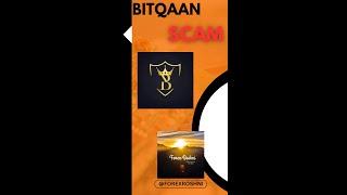 "BITQAAN EXPOSED!  Don't Invest Until You Watch This! "