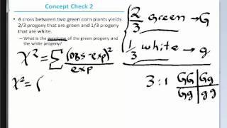 lethal allele practice