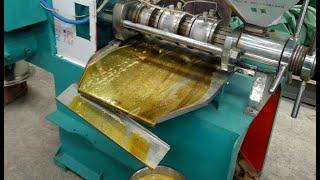 Best peanut groundnut oil making machine | peanut oil press extraction machine