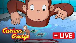  LIVE! Curious George Full Episodes | George Floods the Building | Kids Cartoon | Videos for Kids