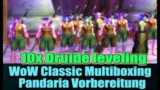 WoW Multiboxing 10x Druide leveln  Pandaria prep | WoW Classic Gold Guide | WoW Cataclysm