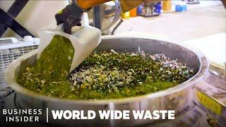 Meet 8 Young Founders Turning Trash Into Cash | World Wide Waste | Insider Business