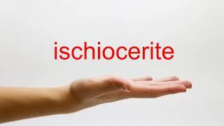 How to Pronounce ischiocerite - American English