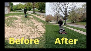 Step by Step Guide to OVERSEEDING (Better looking lawn FAST)