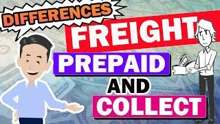 What is the difference between Freight Prepaid and Collect? Necessary knowledge for Logistics!