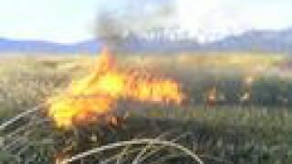 Blasting Thru huge fire in Airboat while filming EXPLOSION