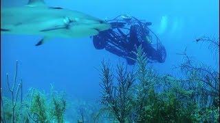 大眾造了輛獨特的甲殼蟲, 能開到海底與鯊魚同遊, 全球僅此一輛