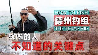 德州钓组必须知道的事情，钓组完全解析和实战技巧分享 #TexasRig#德州钓组#路亚教学#钓鱼新手教学