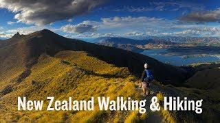 New Zealand Walking & Hiking Tour Video | Backroads