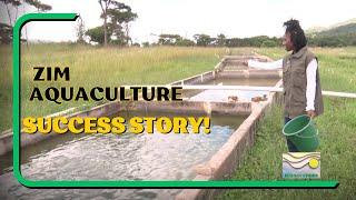 Sustainable Fish Farming in Zimbabwe: Start Today!  (How-To Guide)