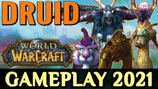 WoW: Druid Gameplay 2021 - All Specializations (Balance, Feral, Guardian, Restoration)