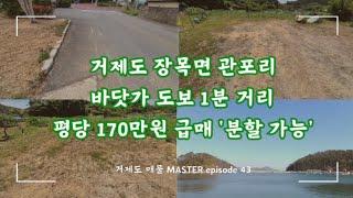 [토지 episode #43] 거가대교 타고 내려오면 바로 여기 , 관포리에 위치한 2차선 도로 접한 400평대 토지 170만원대로 분할 급매 #장목면토지 #장목토지매매 #거제장목